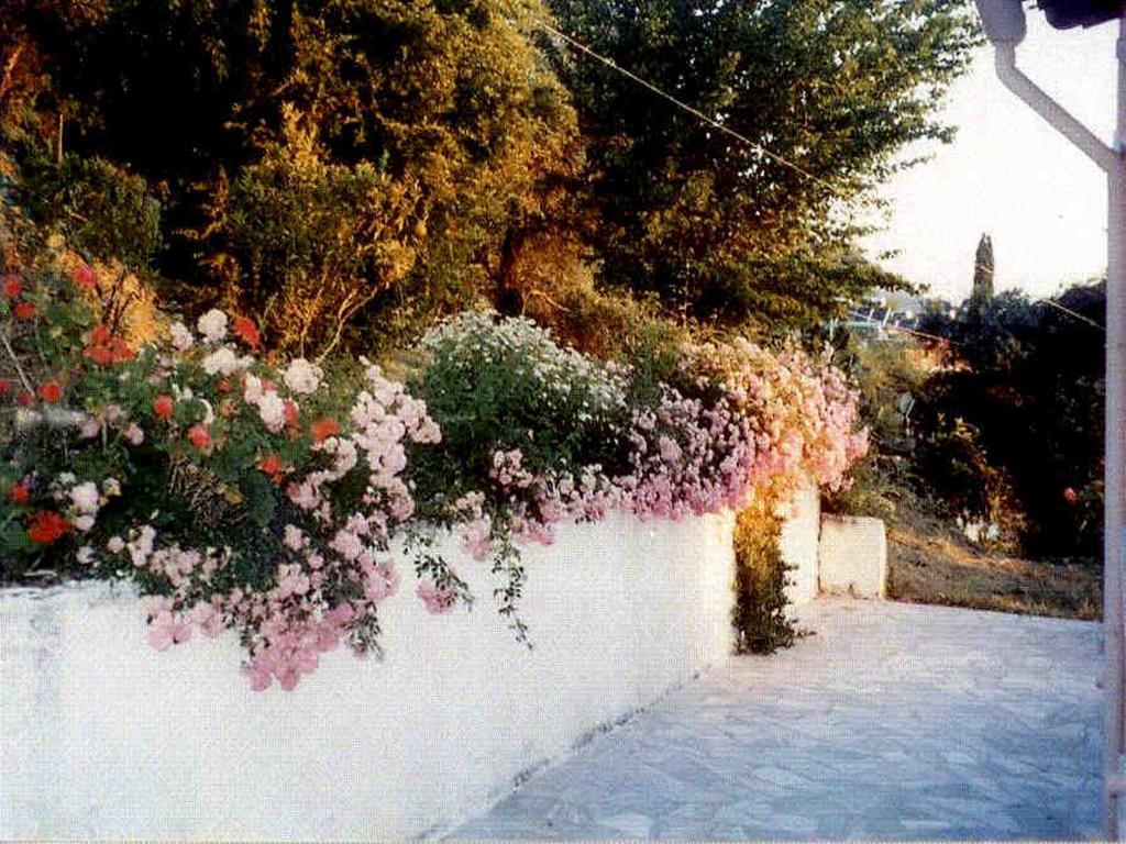Atisis Benitses (Corfu)